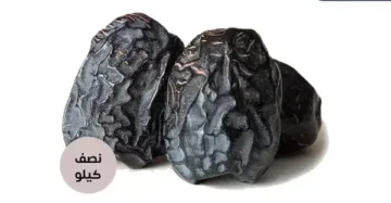 Medine Ajwa Tarihleri