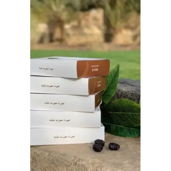 ⁦تمر عجوة المدينة عضوية فاخرة 5 كيلو⁩ - الصورة ⁦4⁩
