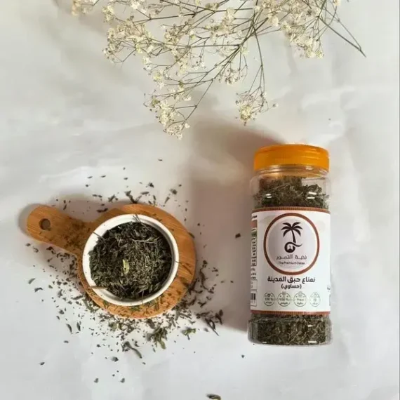 ⁦حبق المدينة - نعناع حساوي⁩ - الصورة ⁦3⁩