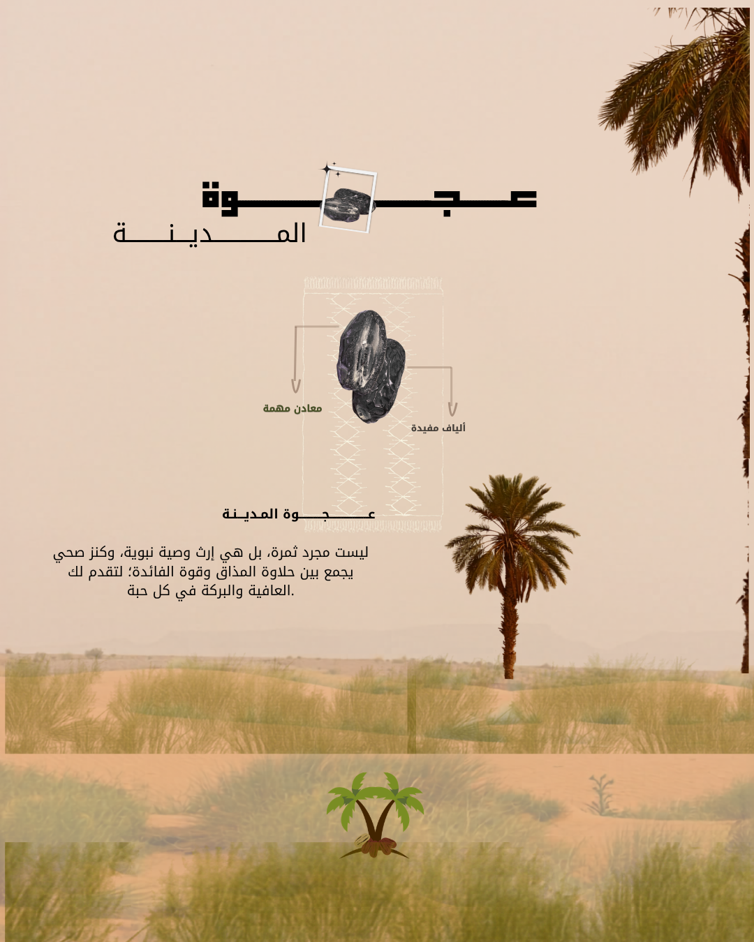 عجوة العوالي عبوة 400 جرام
