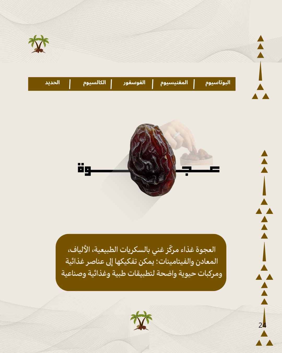 عجوة المدينة 800 جرام | تمر فاخر للضيافة والاستخدام اليومي