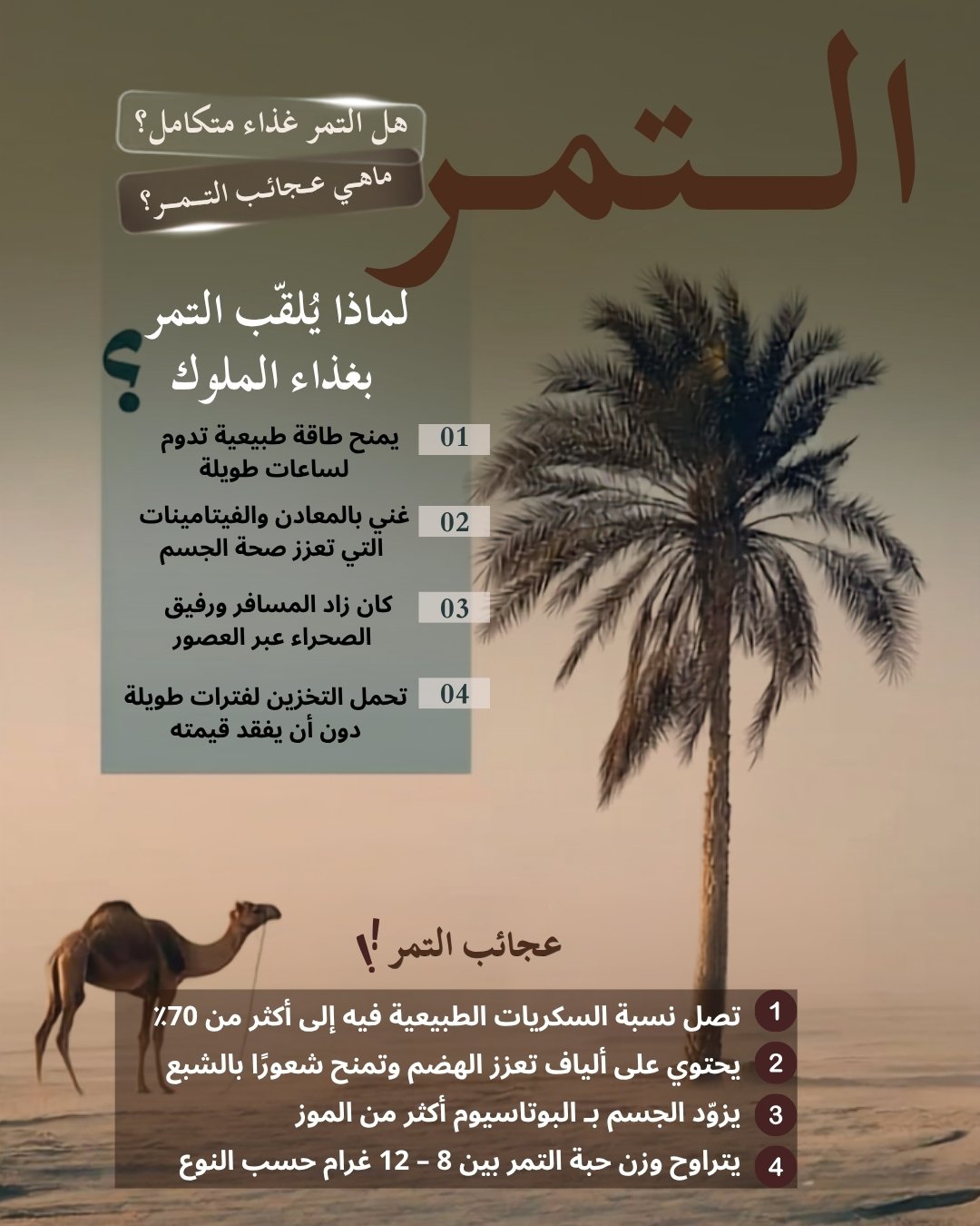 تمر برني العيص 5 كجم | تمر فاخر للضيافة والاستخدام اليومي